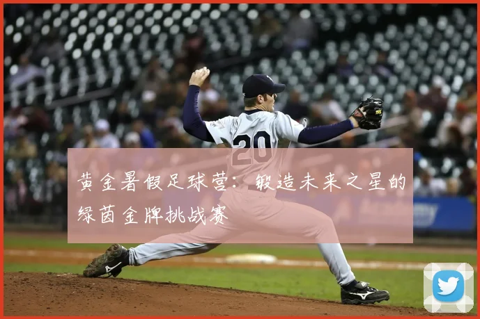 黄金暑假足球营：锻造未来之星的绿茵金牌挑战赛